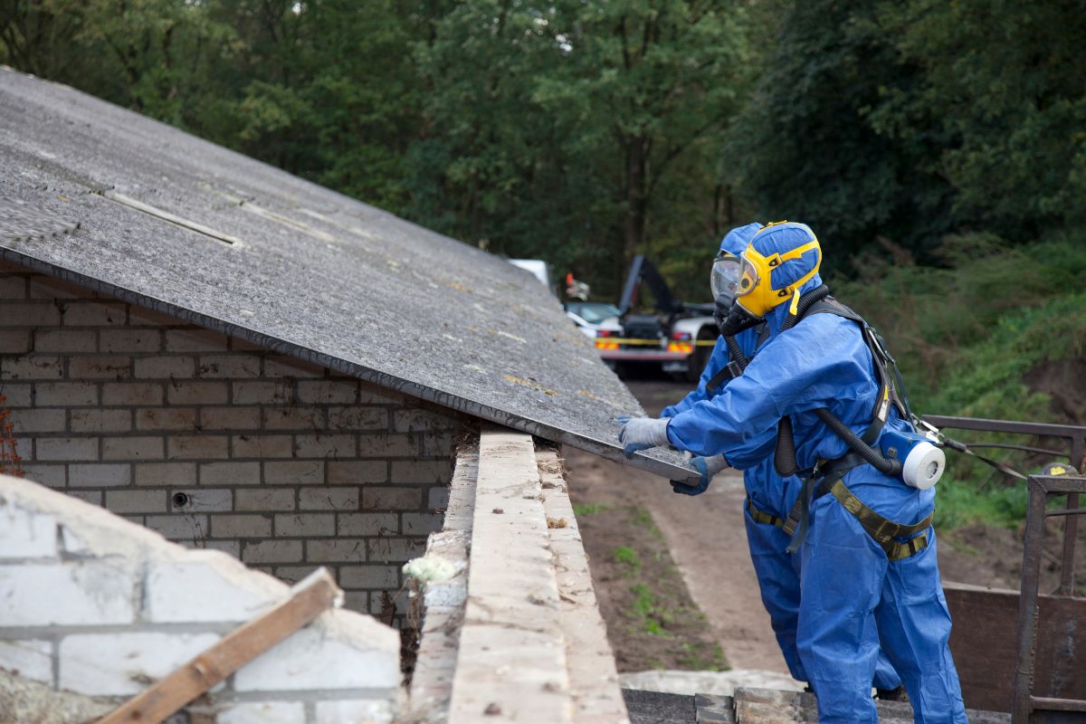 Asbestos Removal Rutherford