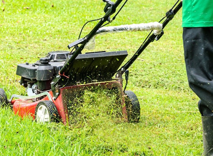 Lawn Mowing Rutherford