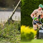 Professional Lawn Mowing