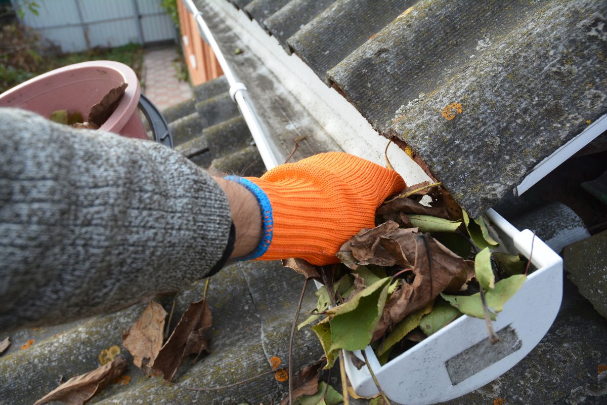 Top 10 Places Asbestos Is Commonly Found in Newcastle Properties